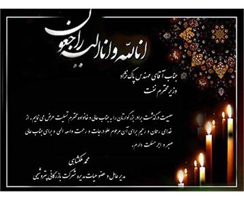 پیام تسلیت مدیرعامل شرکت بازرگانی پتروشیمی به وزیر محترم نفت